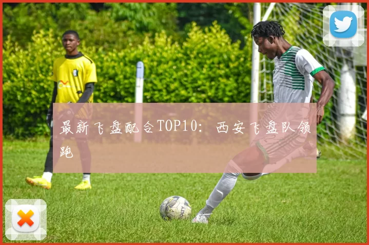 最新飞盘配合TOP10：西安飞盘队领跑