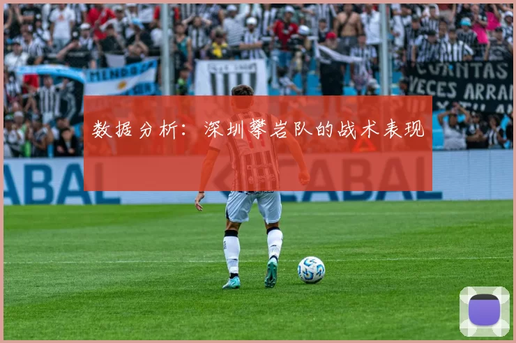 数据分析：深圳攀岩队的战术表现