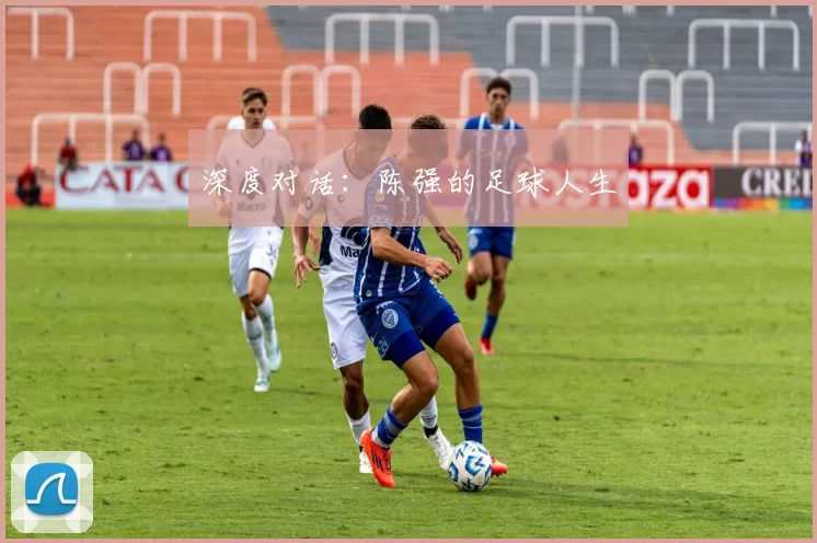 深度对话：陈强的足球人生