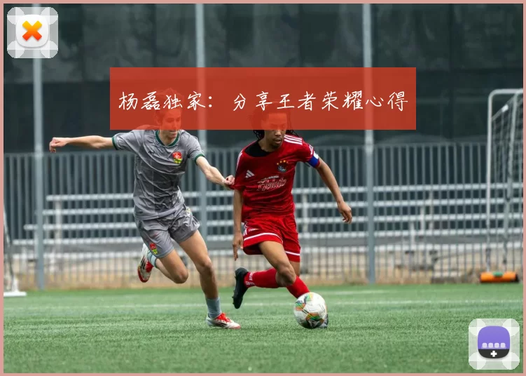 杨磊独家：分享王者荣耀心得