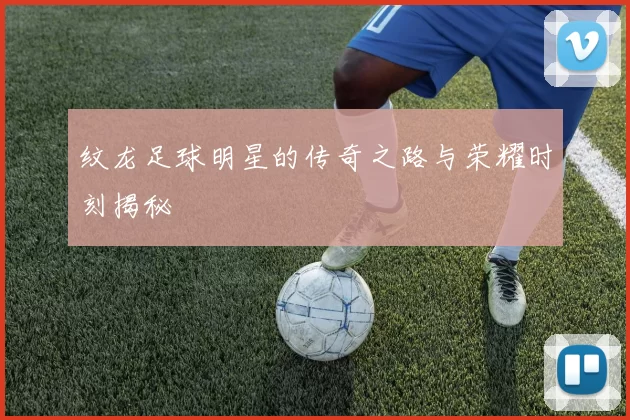 纹龙足球明星的传奇之路与荣耀时刻揭秘