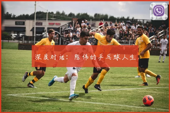 深度对话：陈伟的乒乓球人生