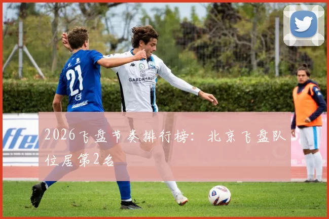 2026飞盘节奏排行榜：北京飞盘队位居第2名