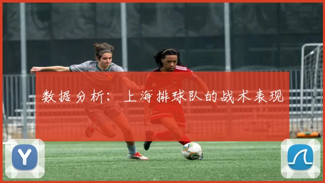 数据分析：上海排球队的战术表现