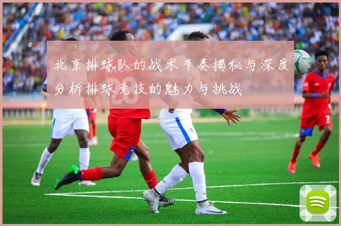 北京排球队的战术节奏揭秘与深度分析排球竞技的魅力与挑战