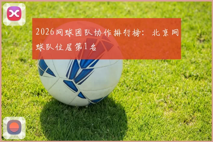 2026网球团队协作排行榜：北京网球队位居第1名